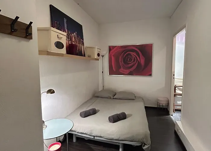 Le Beau Jean Jaures Hypercentre Calme Ascenseur